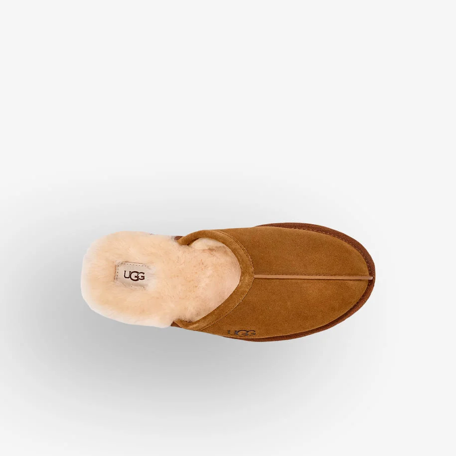 Chinelos Ugg M Scuff - Image 6