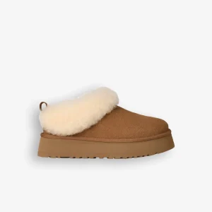 Botas Ugg W Tazzelle