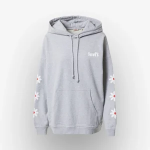 Camiso Levi's Graphic Rider Hoodie