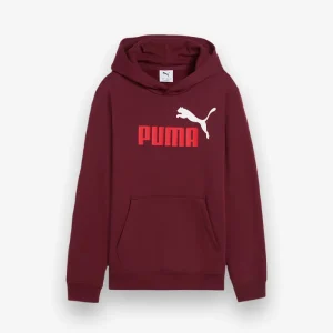 Camisola Puma Logo Hoodie