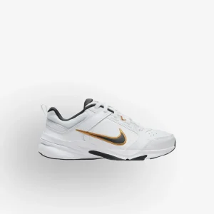 Sapatilhas Nike Defy All Day